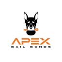 Apex Bail Bonds of Martinsville, VA logo
